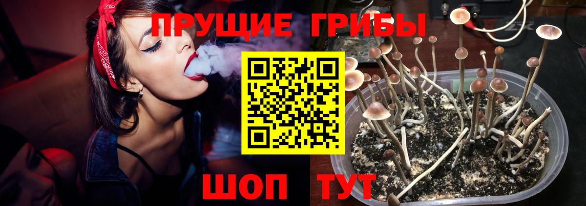 Галлюциногенные грибы MAGIC MUSHROOMS Кунгур